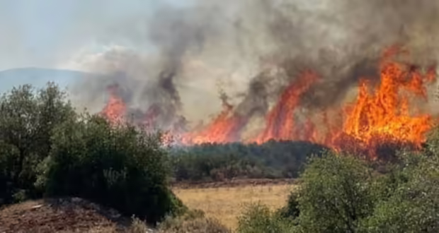 Πυρκαγιές στην Ευρώπη και FirEUrisk: Ανάπτυξη μεθοδολογικών εργαλείων και εθελοντισμός για την αντιμετώπιση της πύρινης λαίλαπας