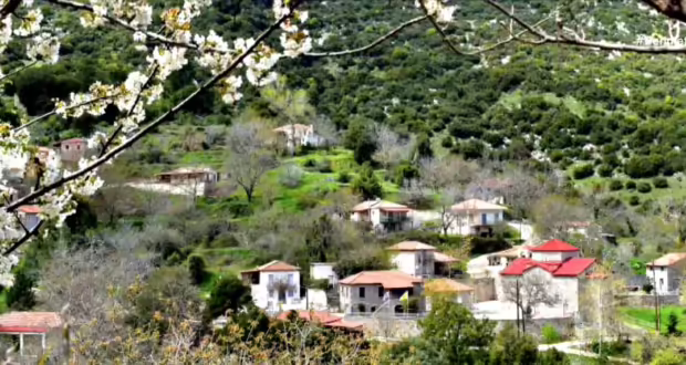 Το “Χαμόγελο του Χωριού”- Από αγγελία αγόρασε ένα κτήμα και έγινε αγρότης