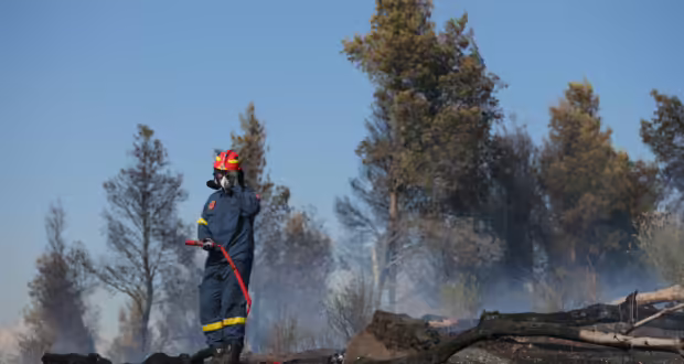 Θεσσαλονίκη: Χωρίς ενεργή εστία η πυρκαγιά στην Εφεδρούπολη Ευκαρπίας