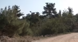 Πολύ υψηλός κίνδυνος πυρκαγιάς αύριο σε Θεσσαλονίκη, Κιλκίς- Απαγόρευση κυκλοφορίας σε Σέιχ Σου και άλλες δασικές εκτάσεις