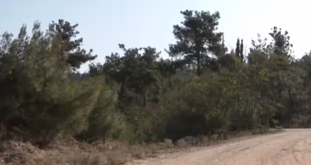 Πολύ υψηλός κίνδυνος πυρκαγιάς αύριο σε Θεσσαλονίκη, Κιλκίς- Απαγόρευση κυκλοφορίας σε Σέιχ Σου και άλλες δασικές εκτάσεις