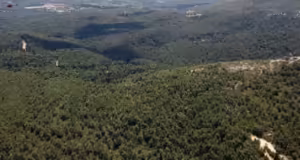 Θεσσαλονίκη: Υψηλός ο κίνδυνος πυρκαγιάς- Απαγόρευση κυκλοφορίας στο Σέιχ Σου