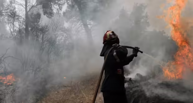 Θεσσαλονίκη: Υπό έλεγχο τέθηκαν όλες οι πυρκαγιές στον νομό- Τριάντα μία συνολικά οι εστίες