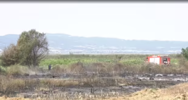 Φωτιές πέριξ της Θεσσαλονίκης – Η επόμενη μέρα: Ζημιές σε αγροτικές καλλιέργειες και εγκαταστάσεις