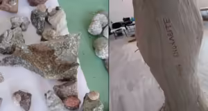Λέσβος- “Ανασκαφές”: Όταν η τέχνη συναντά το Απολιθωμένο Δάσος