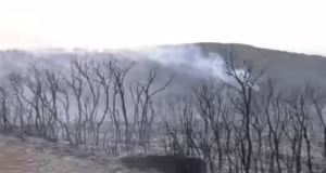 Θεσσαλονίκη-Πυρκαγιά σε δασική έκταση στο Μεσαίο: Ισχυρές πυροσβεστικές δυνάμεις στην επιχείρηση κατάσβεσης- Βελτιωμένη η εικόνα