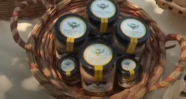 Χρυσό βραβείο άριστης γεύσης στα “Excellent Taste Awards 2025”