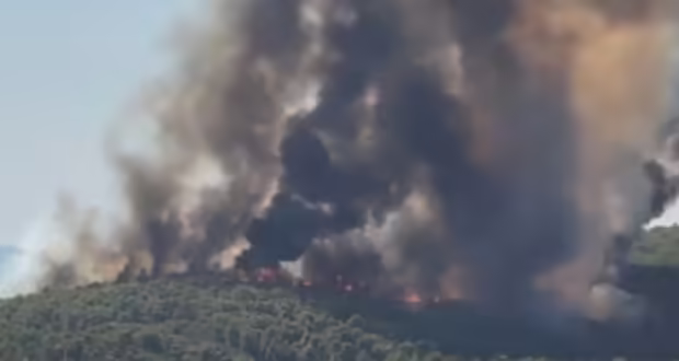 Μεγάλη φωτιά σε δασική έκταση στη Βουρβουρού Χαλκιδικής – Ήχησε το 112