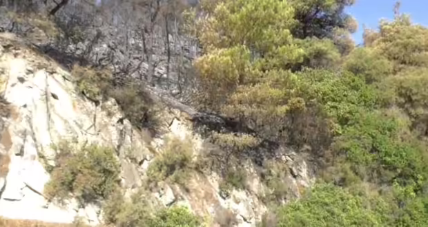 Χαλκιδική: «Μάτια» προστασίας των δασών τα drones- Επιτηρούσαν και μετέδιδαν εικόνες κρίσιμες για την επιχείρηση κατάσβεσης φωτιάς στη Βουρβουρού