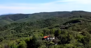 Απαγορεύεται η είσοδος σε δασικές εκτάσεις για την αποφυγή πυρκαγιών – Σε επιφυλακή οι Αρχές